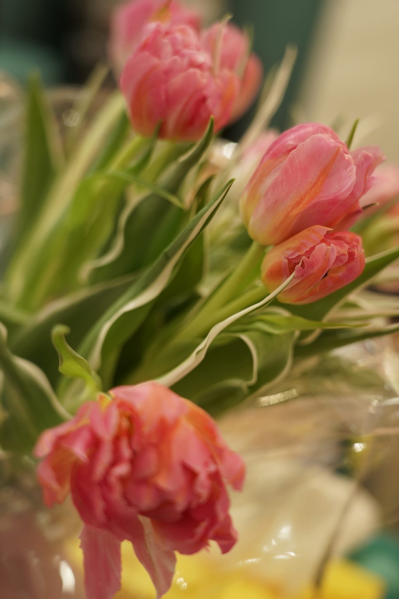 Rosa gefüllte Tulpen in einem Strauß, weich im Licht